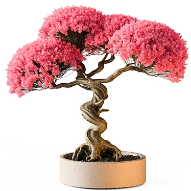 Pink Bonsai Indoor Plant 3D model image 1 