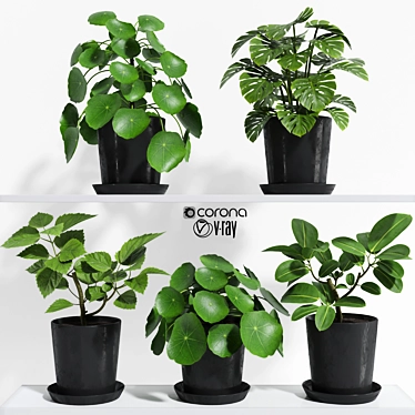 Translation: "material for high resolution renders." 
Unique Title: High-Res Plant Set Render 3D model image 1 