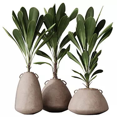 Exotic Licuala Grandis Palm Set 3D model image 1 