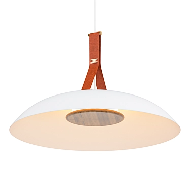 Contemporary Volo Pendant Light Fixture 3D model image 1 