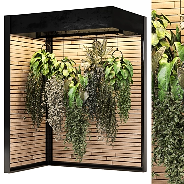 Indoor Plant Collection, Modern Style 3D model image 1 