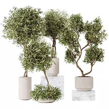 Majestic Olive Faux Tree Mediterranean 3D model image 1 