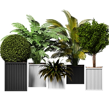 Sleek Indoor Plants for 3D 3D model image 1 