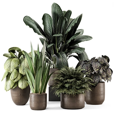 Indoor Plants in Rusty Brown Concrete Pot - Set 1983