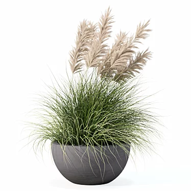 Modern Pot Grass Plants Collection 3D model image 1 