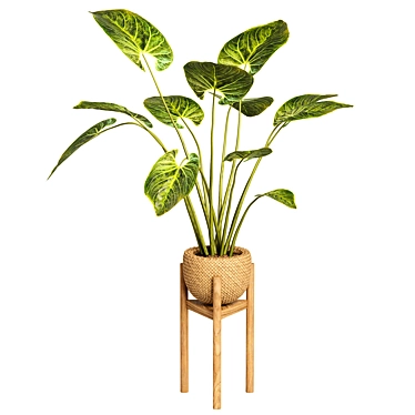 Sure, based on the provided description, the unique title for the product could be: 
Leafy Charm Indoor Plant 3D model image 1 