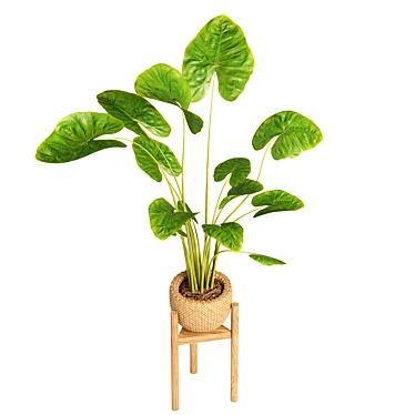 Elegant Indoor Plant Décor 3D model image 1 