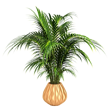 Russian Indoor Plant: From Yes 3D model image 1 