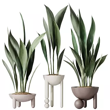 Durable Aspidistra Elatior Indoor Plant 3D model image 1 