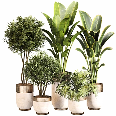 Modern Indoor Plant Set 045 3D model image 1 