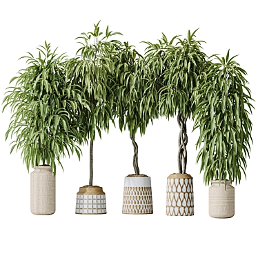 Variety of Huge Ficus Models 3D model image 1 