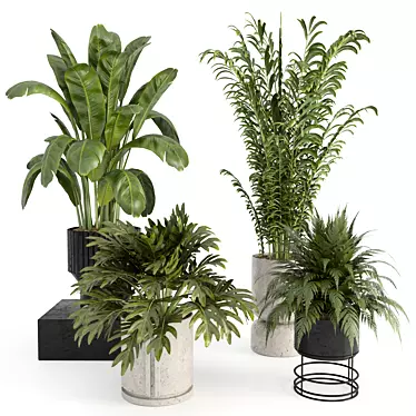 Indoor Plants Set 9