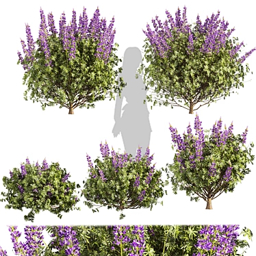 Premium Lupinus Albifrons Bush Model 3D model image 1 