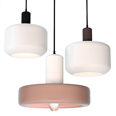 Juko Ceiling Light Fixtures, Dual Colored 3D model image 1 