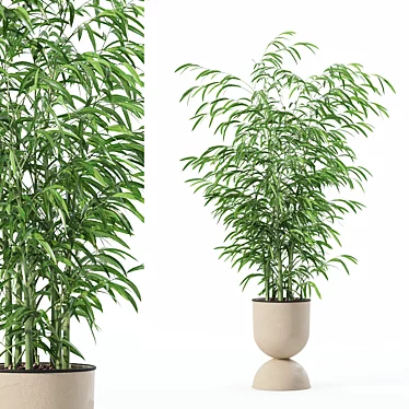 Modern Bamboo Plant in Pot 3D model image 1 