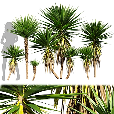 Low-Volume Yucca Palm Asset 3D model image 1 