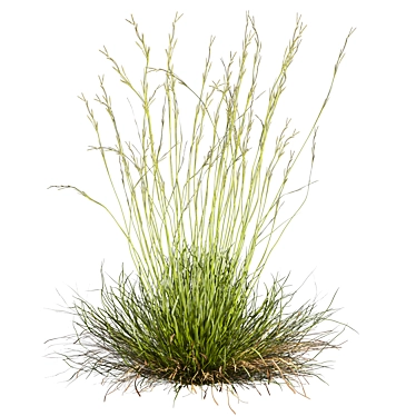 High-Quality Floral Grass Collection 3D model image 1 