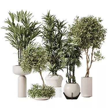 Indoor Plant Set 3D Models 3D model image 1 