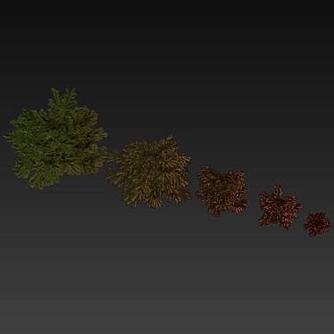 Outdoor Abies Balsamea Bush Collection 3D model image 1 