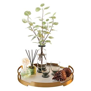 Luxury Decor Set with Tray 3D model image 1 