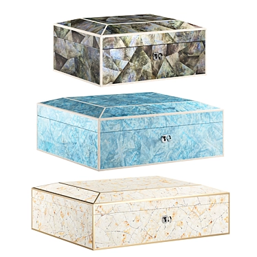 Versatile Decorative Jewellery Boxes 3D model image 1 