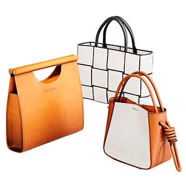 Elegant Trio of Women's Bags 3D model image 1 