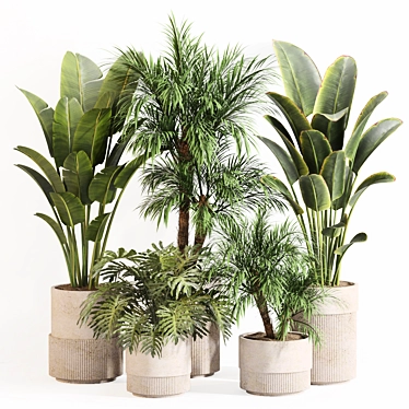 Modern Indoor Plant Set 056 3D model image 1 