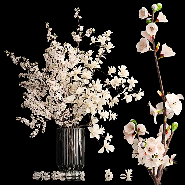 Magnolia Blossom Bouquet Set 3D model image 1 