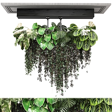  Metal Box Indoor Hanging Plants 3D model image 1 