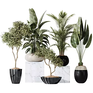 10 Indoor Plant Set Diversity 3D model image 1 