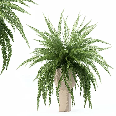 VaultGreen Fern Plants Collection 3D model image 1 