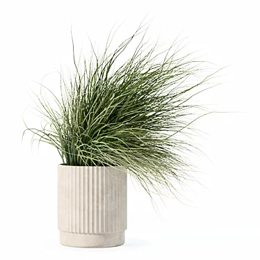 Diverse Grass Plants Collection 3D model image 1 