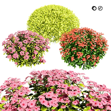 Goldmound Spiraea 3D Foliage Model 3D model image 1 