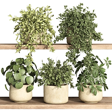 plants on shelf 21