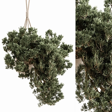 688 Hanging Indoor Plant Display 3D model image 1 