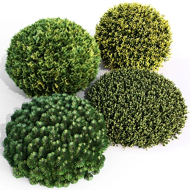 Landscaping Bushes Pack - 3D Models 3D model image 1 