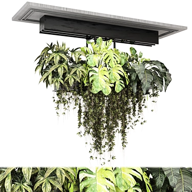 Metal Box Hanging Plant Set 3D model image 1 