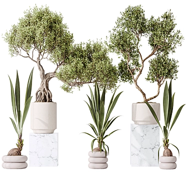 Versatile Indoor Plant Set Collection 3D model image 1 