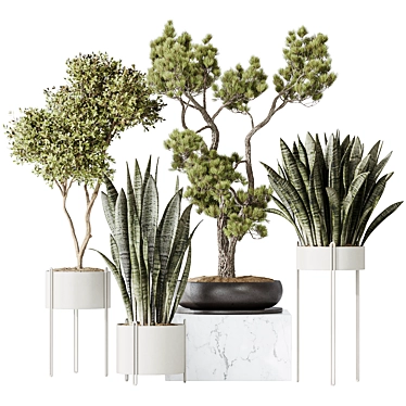 Impressive Indoor Plant Set Bundle 3D model image 1 