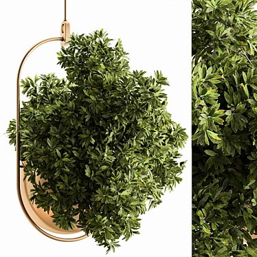 Hanging Indoor Plant 690 3D model image 1 