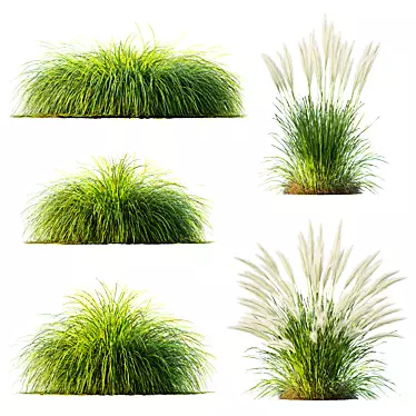 Variety of 3D Grass Models 3D model image 1 