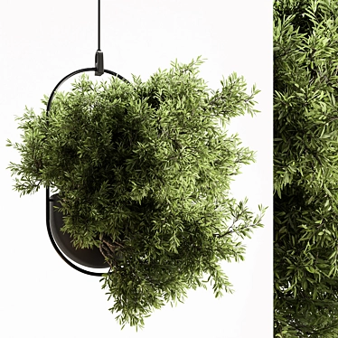 Blooming Beauties: Hanging Plants 3D model image 1 