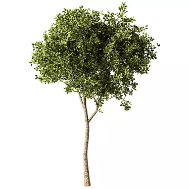 Sculptural Metal Tree Statue 3D model image 1 