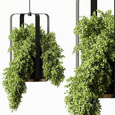 Green Oasis - Hanging Plants 3D model image 1 