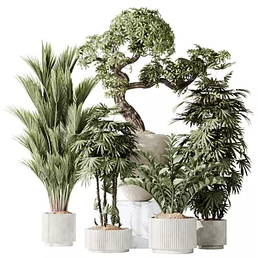 5 Model Indoor Plant Set 3D model image 1 