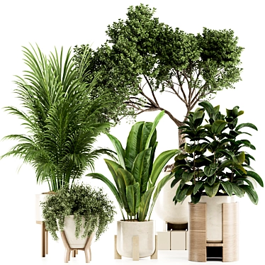 Premium Indoor Plants Set97 Model 3D model image 1 