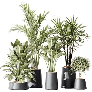 Modern Indoor Plant Set Collection 3D model image 1 