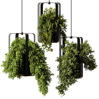 695 Hanging Indoor Plants 3D model image 1 