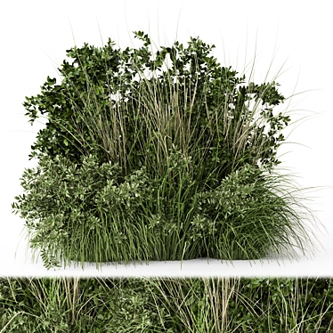 Lush Outdoor Bush Set 3D 3D model image 1 