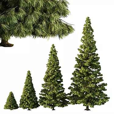 Virtual Spruce Tree Collection 3D model image 1 